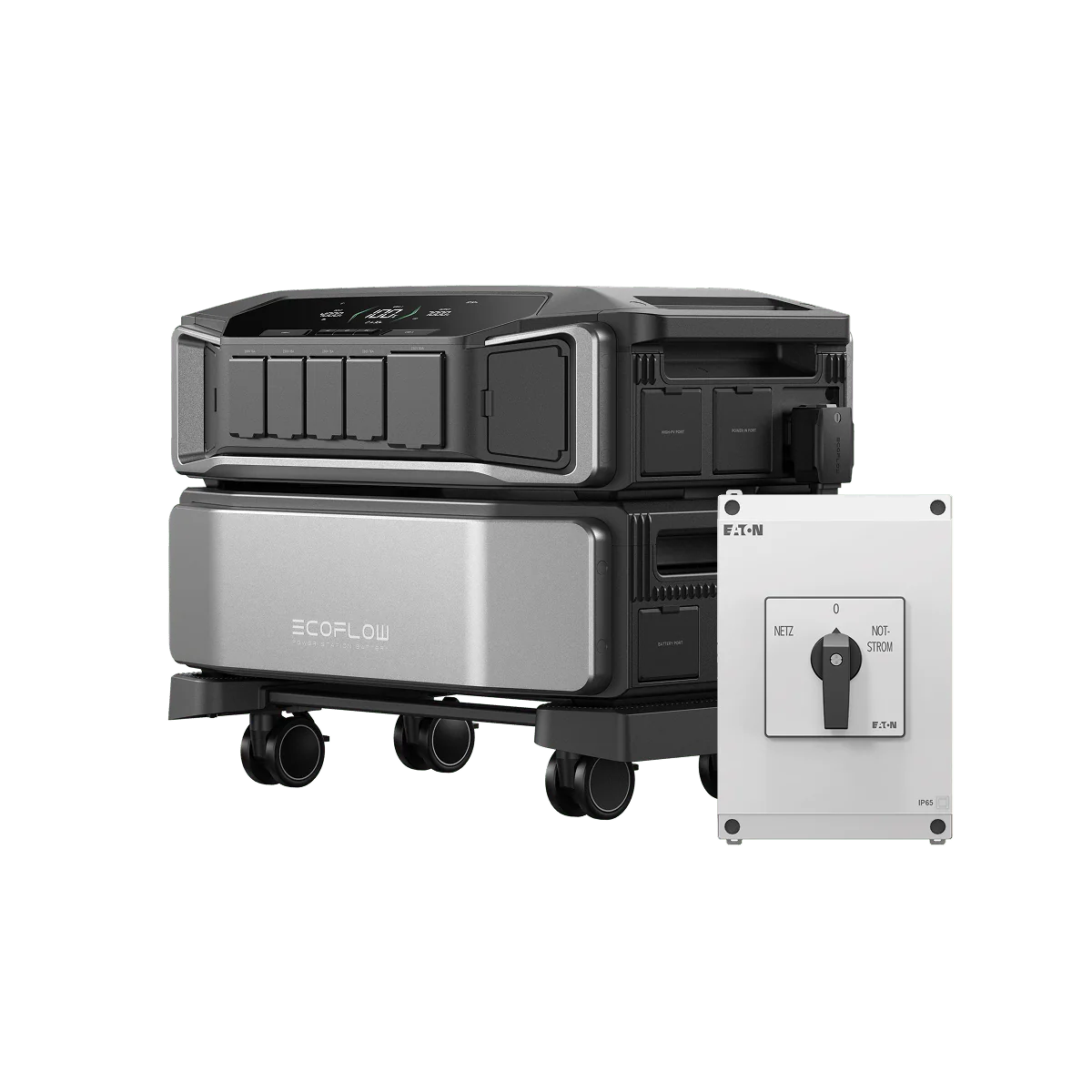 Miniatura 12